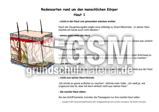Kartei-Redenskarten-Haut-1-2.pdf